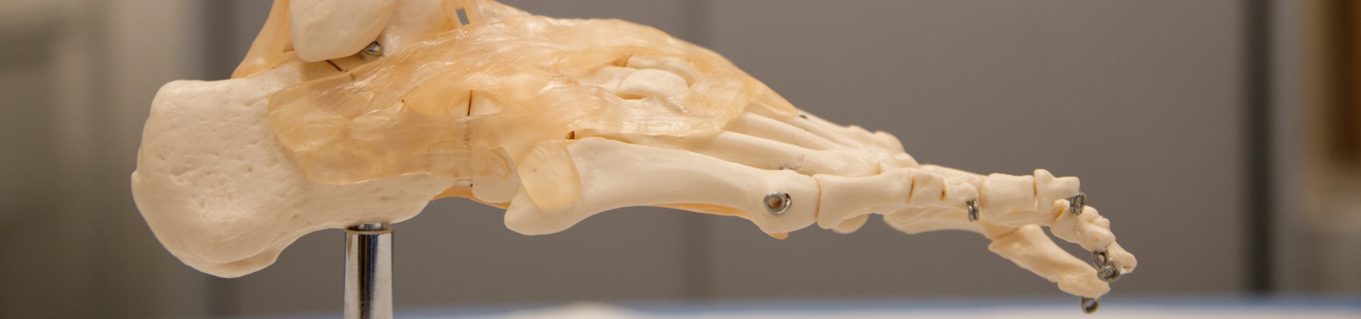 Oct.25 - See our Education Series on Plantar Fasciitis